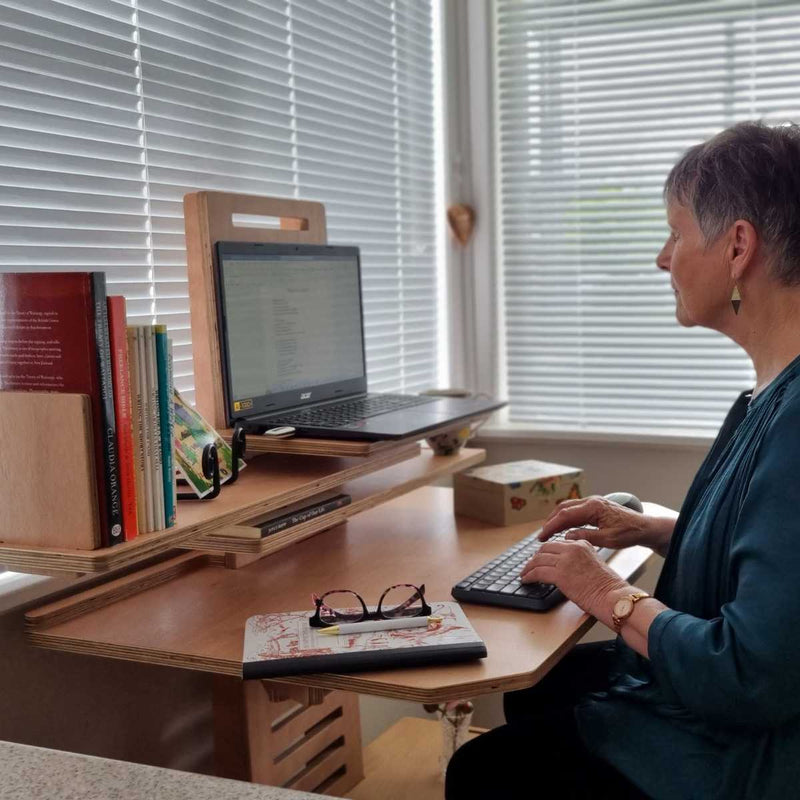 Stand Sit Desk